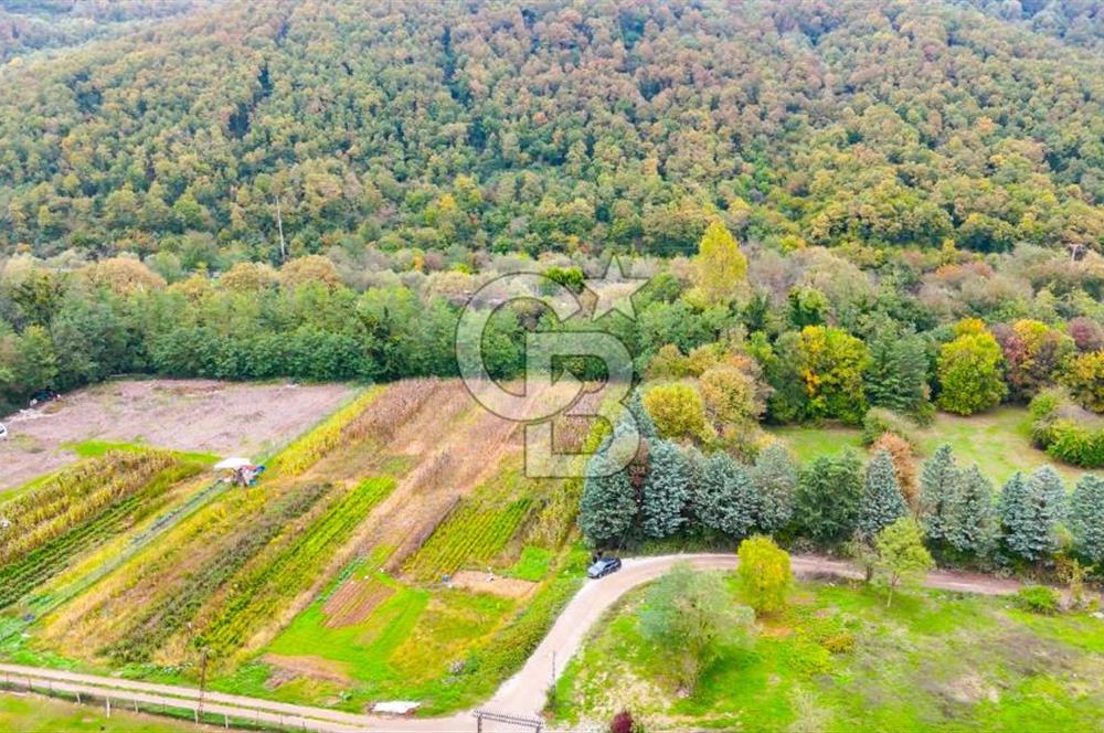 Beykoz Cumhuriyet'te Satılık 6272 m2 Resmi Yol Cepheli Arazi