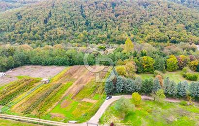 Beykoz Cumhuriyet'te Satılık 6272 m2 Resmi Yol Cepheli Arazi