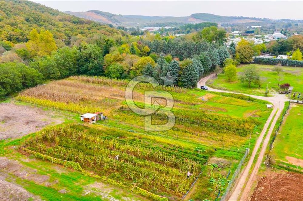 Beykoz Cumhuriyet'te Satılık 6272 m2 Resmi Yol Cepheli Arazi