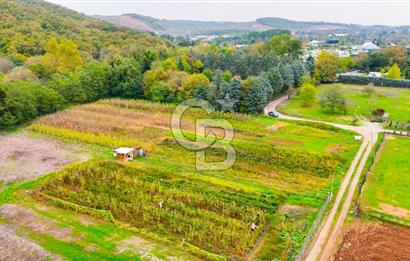 Beykoz Cumhuriyet'te Satılık 6272 m2 Resmi Yol Cepheli Arazi