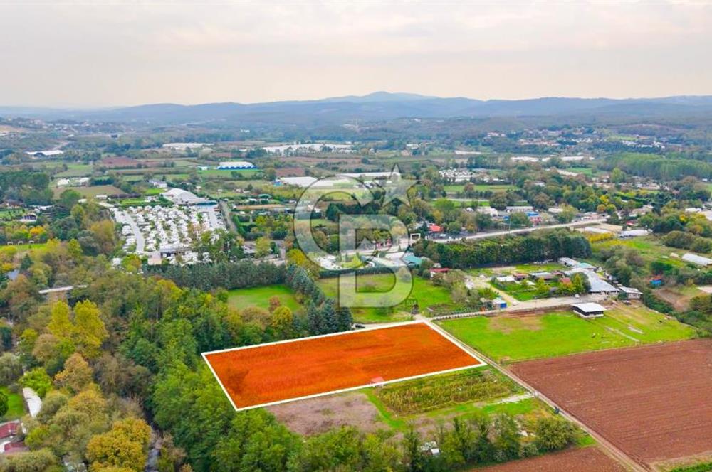 Beykoz Cumhuriyet'te Satılık 6272 m2 Resmi Yol Cepheli Arazi