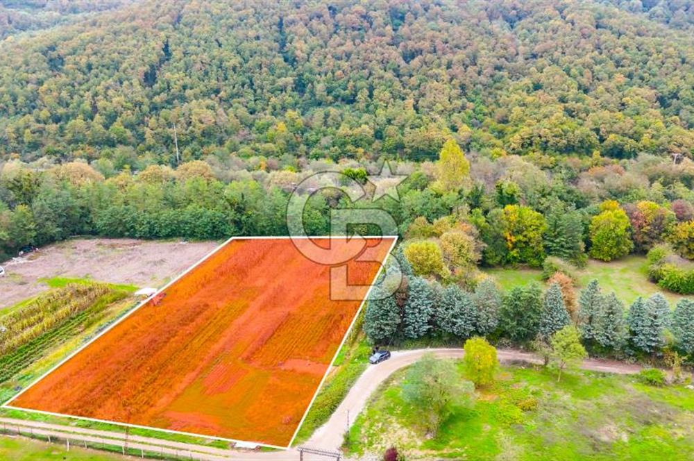 Beykoz Cumhuriyet'te Satılık 6272 m2 Resmi Yol Cepheli Arazi