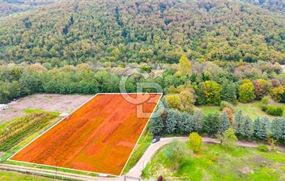 Beykoz Cumhuriyet'te Satılık 6272 m2 Resmi Yol Cepheli Arazi