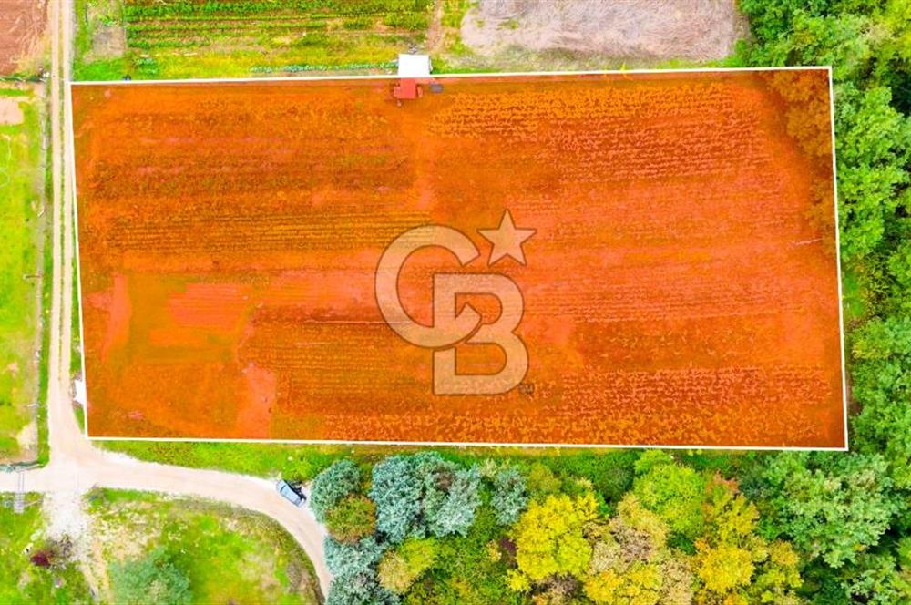 Beykoz Cumhuriyet'te Satılık 6272 m2 Resmi Yol Cepheli Arazi