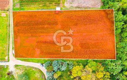 Beykoz Cumhuriyet'te Satılık 6272 m2 Resmi Yol Cepheli Arazi