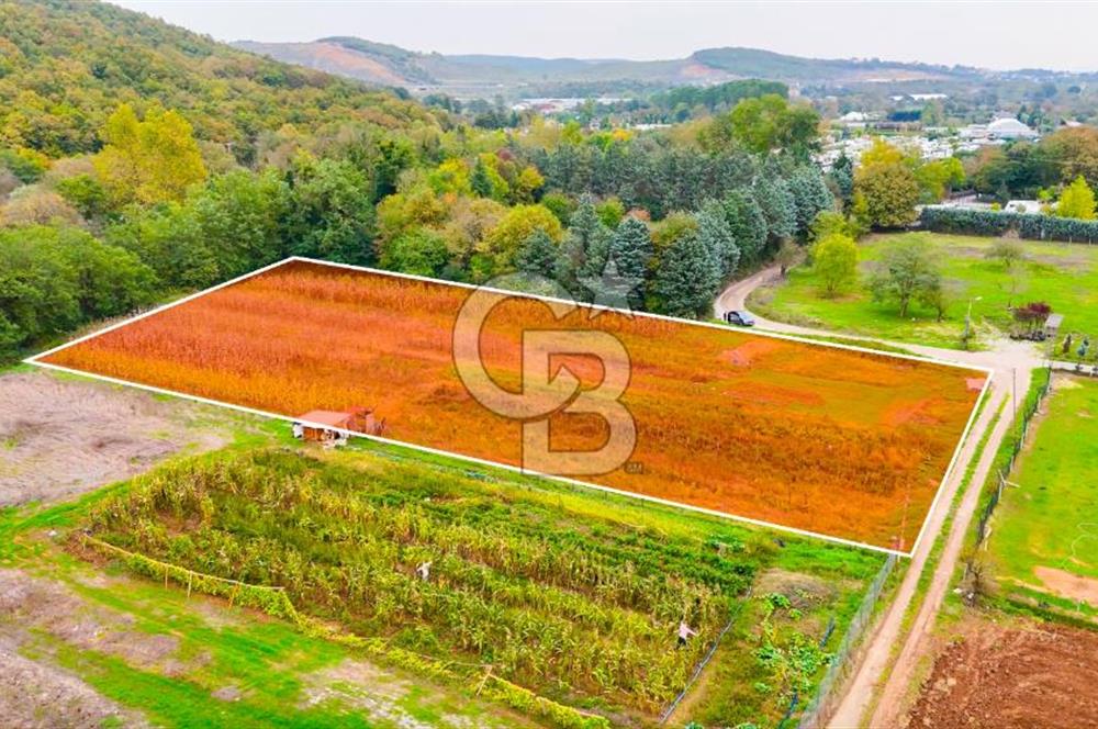 Beykoz Cumhuriyet'te Satılık 6272 m2 Resmi Yol Cepheli Arazi