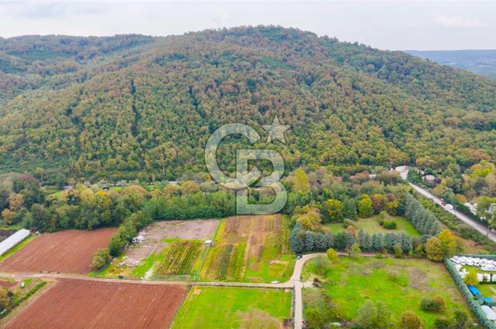 Beykoz Cumhuriyet'te Satılık 6272 m2 Resmi Yol Cepheli Arazi