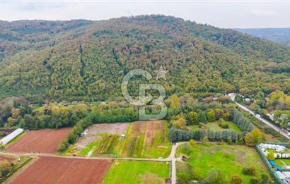 Beykoz Cumhuriyet'te Satılık 6272 m2 Resmi Yol Cepheli Arazi