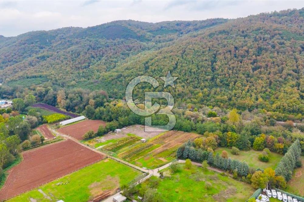 Beykoz Cumhuriyet'te Satılık 6272 m2 Resmi Yol Cepheli Arazi