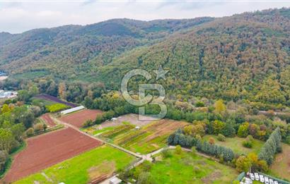 Beykoz Cumhuriyet'te Satılık 6272 m2 Resmi Yol Cepheli Arazi