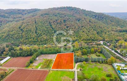 Beykoz Cumhuriyet'te Satılık 6272 m2 Resmi Yol Cepheli Arazi