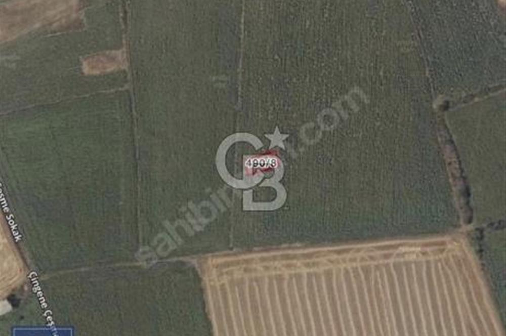 GELİBOLU BOLAYIRDA DENİZE 500 METRE ARSA