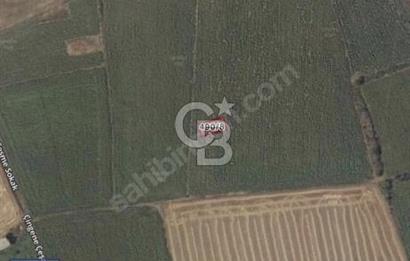 GELİBOLU BOLAYIRDA DENİZE 500 METRE ARSA
