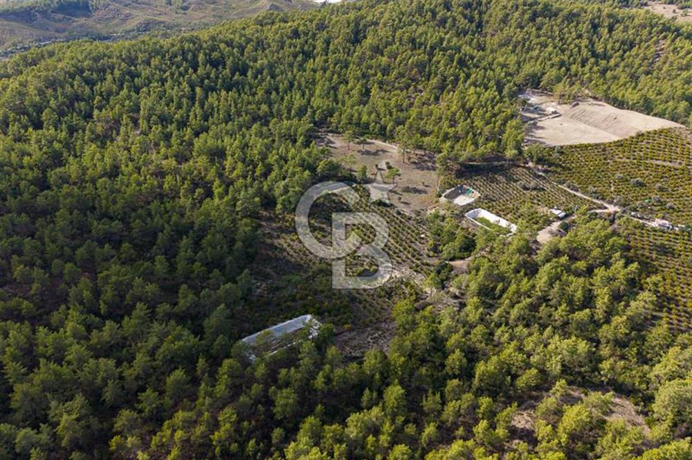 CB ARDENDEN ANTALYA KAŞ ORTABAĞDA 19.188 M2 SATILIK TARLA