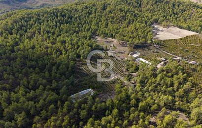CB ARDENDEN ANTALYA KAŞ ORTABAĞDA 19.188 M2 SATILIK TARLA
