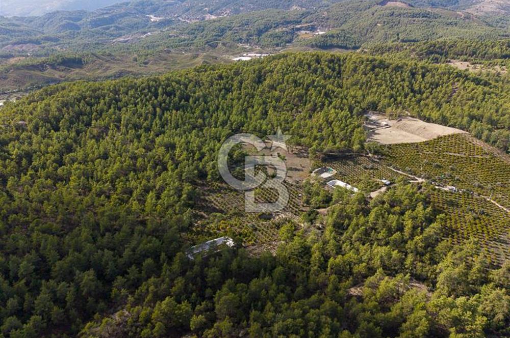 CB ARDENDEN ANTALYA KAŞ ORTABAĞDA 19.188 M2 SATILIK TARLA
