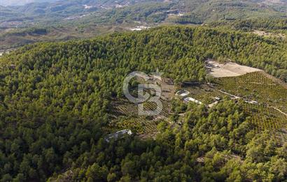 CB ARDENDEN ANTALYA KAŞ ORTABAĞDA 19.188 M2 SATILIK TARLA