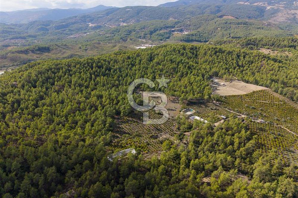 CB ARDENDEN ANTALYA KAŞ ORTABAĞDA 19.188 M2 SATILIK TARLA