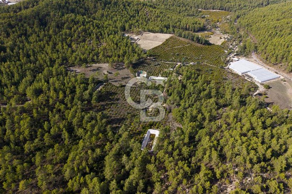 CB ARDENDEN ANTALYA KAŞ ORTABAĞDA 19.188 M2 SATILIK TARLA