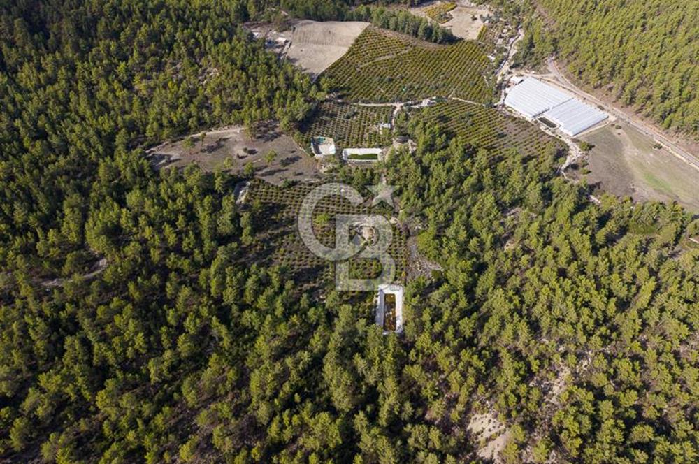 CB ARDENDEN ANTALYA KAŞ ORTABAĞDA 19.188 M2 SATILIK TARLA