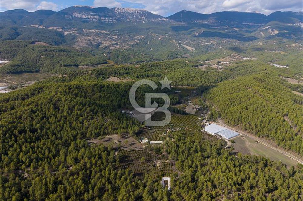 CB ARDENDEN ANTALYA KAŞ ORTABAĞDA 19.188 M2 SATILIK TARLA