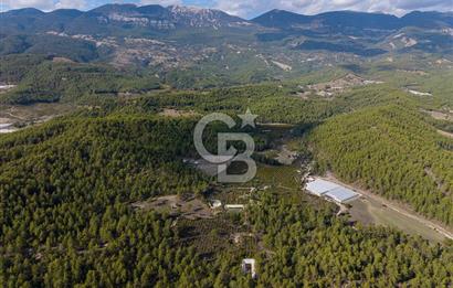 CB ARDENDEN ANTALYA KAŞ ORTABAĞDA 19.188 M2 SATILIK TARLA