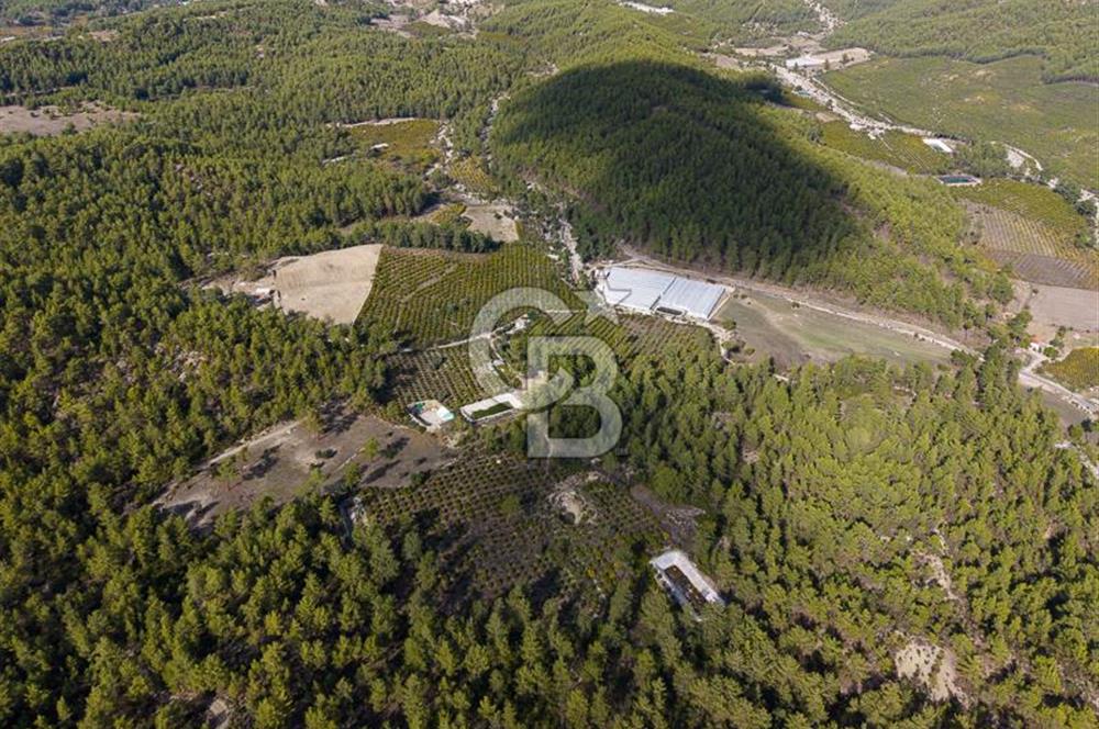 CB ARDENDEN ANTALYA KAŞ ORTABAĞDA 19.188 M2 SATILIK TARLA