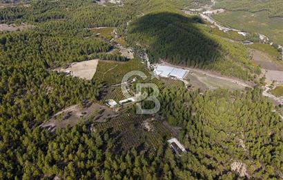 CB ARDENDEN ANTALYA KAŞ ORTABAĞDA 19.188 M2 SATILIK TARLA