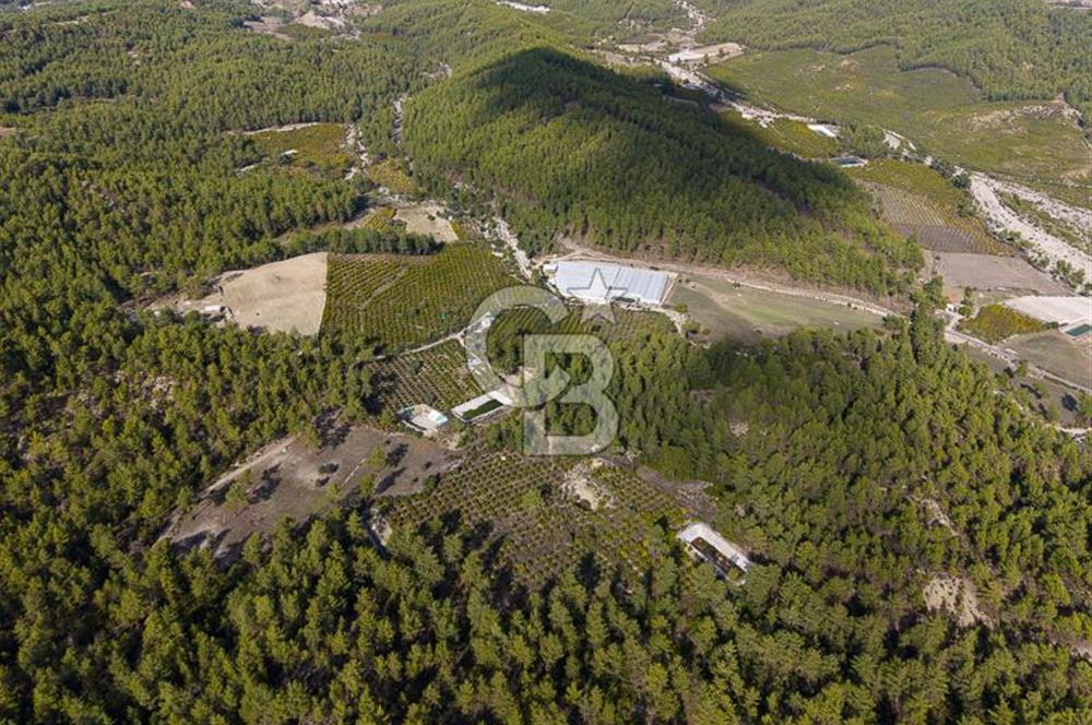 CB ARDENDEN ANTALYA KAŞ ORTABAĞDA 19.188 M2 SATILIK TARLA