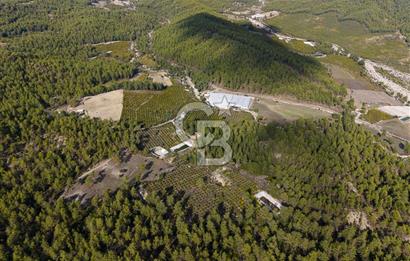 CB ARDENDEN ANTALYA KAŞ ORTABAĞDA 19.188 M2 SATILIK TARLA
