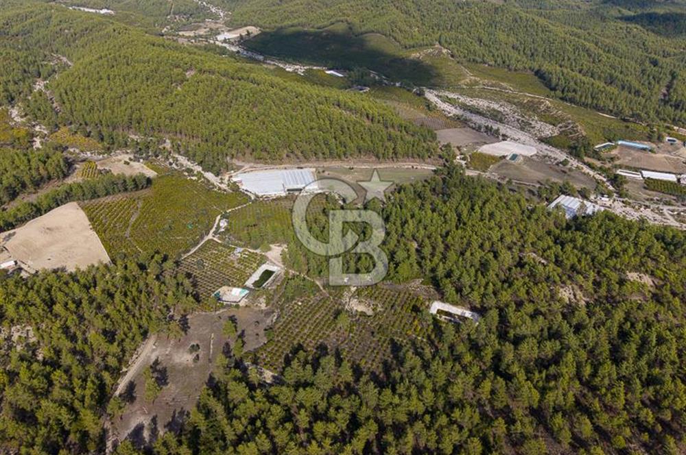 CB ARDENDEN ANTALYA KAŞ ORTABAĞDA 19.188 M2 SATILIK TARLA