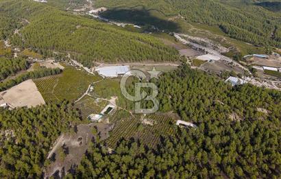 CB ARDENDEN ANTALYA KAŞ ORTABAĞDA 19.188 M2 SATILIK TARLA