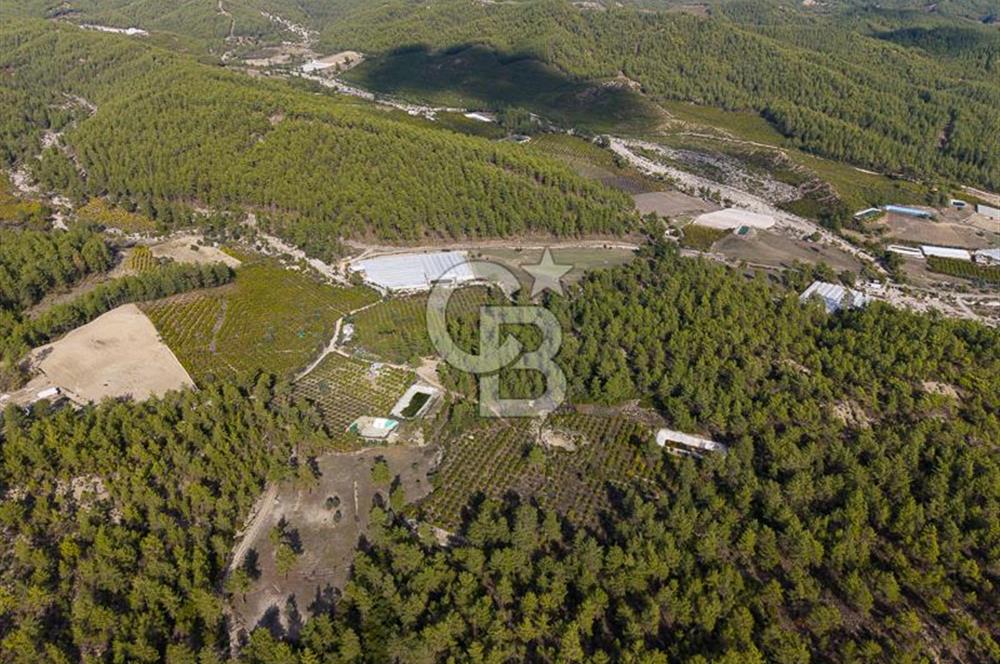 CB ARDENDEN ANTALYA KAŞ ORTABAĞDA 19.188 M2 SATILIK TARLA
