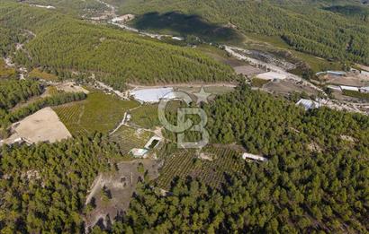 CB ARDENDEN ANTALYA KAŞ ORTABAĞDA 19.188 M2 SATILIK TARLA