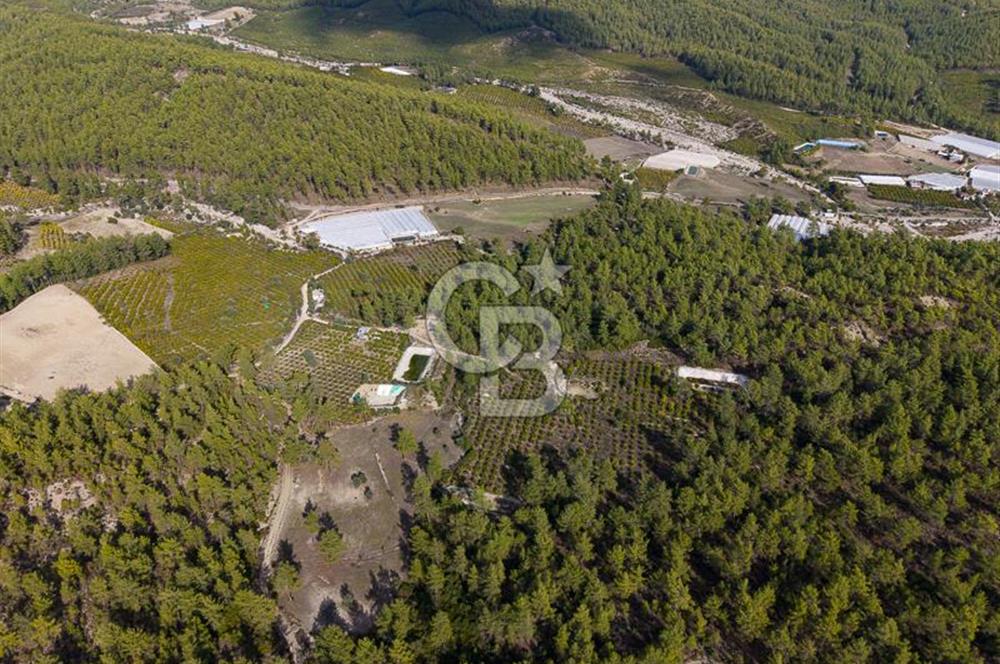 CB ARDENDEN ANTALYA KAŞ ORTABAĞDA 19.188 M2 SATILIK TARLA