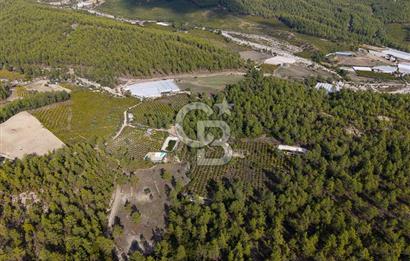 CB ARDENDEN ANTALYA KAŞ ORTABAĞDA 19.188 M2 SATILIK TARLA