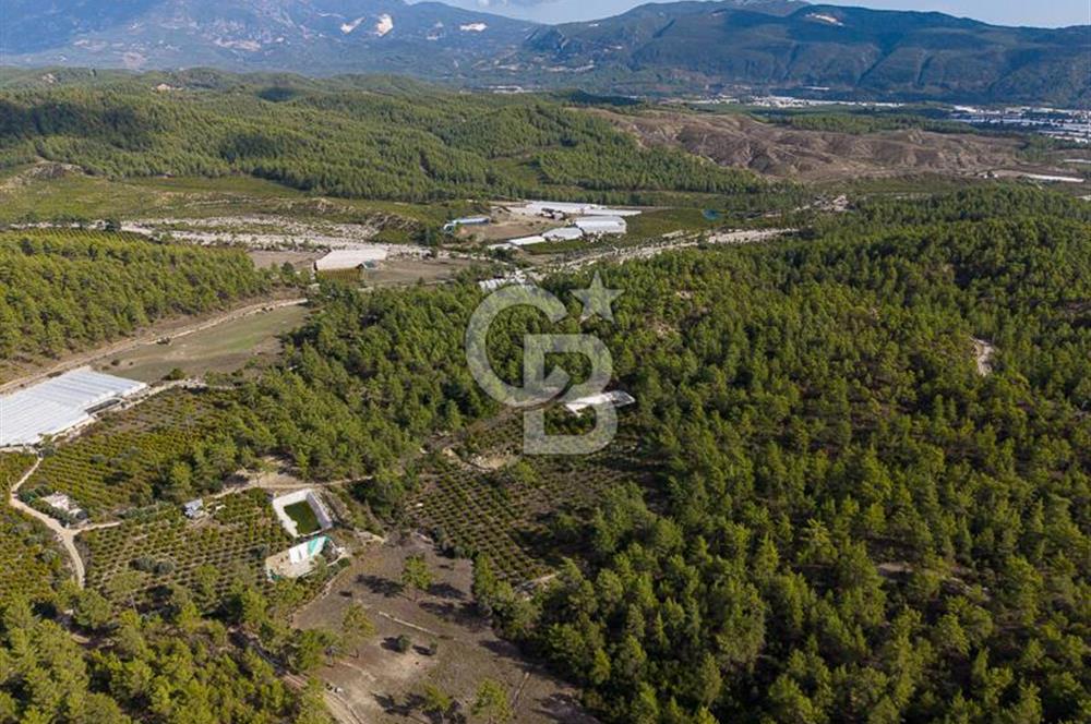 CB ARDENDEN ANTALYA KAŞ ORTABAĞDA 19.188 M2 SATILIK TARLA