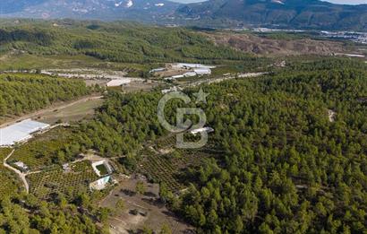 CB ARDENDEN ANTALYA KAŞ ORTABAĞDA 19.188 M2 SATILIK TARLA