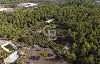 CB ARDENDEN ANTALYA KAŞ ORTABAĞDA 19.188 M2 SATILIK TARLA