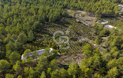CB ARDENDEN ANTALYA KAŞ ORTABAĞDA 19.188 M2 SATILIK TARLA