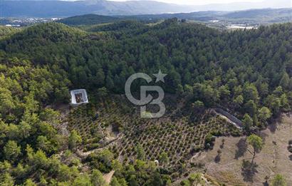 CB ARDENDEN ANTALYA KAŞ ORTABAĞDA 19.188 M2 SATILIK TARLA
