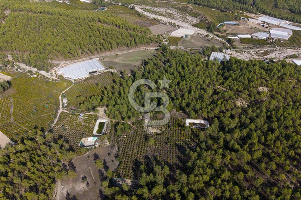 CB ARDENDEN ANTALYA KAŞ ORTABAĞDA 19.188 M2 SATILIK TARLA