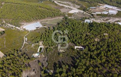 CB ARDENDEN ANTALYA KAŞ ORTABAĞDA 19.188 M2 SATILIK TARLA