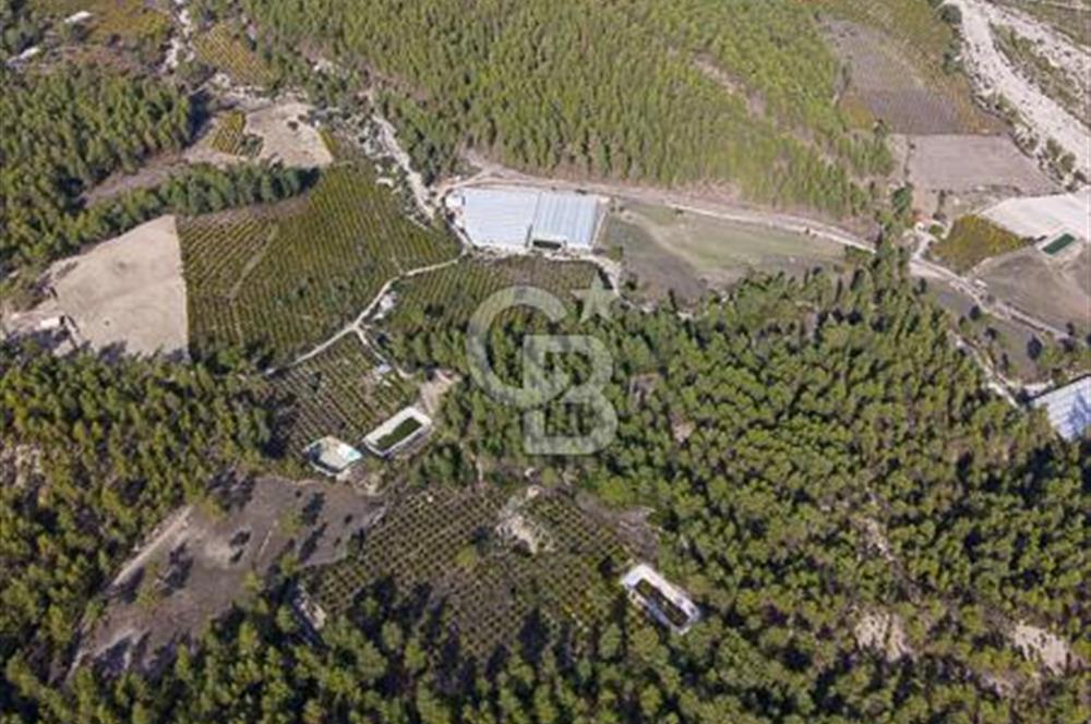 CB ARDENDEN ANTALYA KAŞ ORTABAĞDA 19.188 M2 SATILIK TARLA