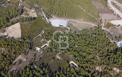 CB ARDENDEN ANTALYA KAŞ ORTABAĞDA 19.188 M2 SATILIK TARLA