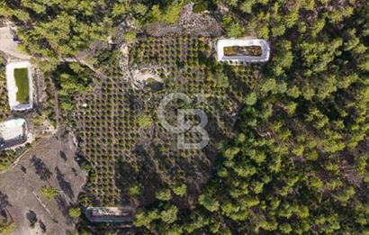 CB ARDENDEN ANTALYA KAŞ ORTABAĞDA 19.188 M2 SATILIK TARLA
