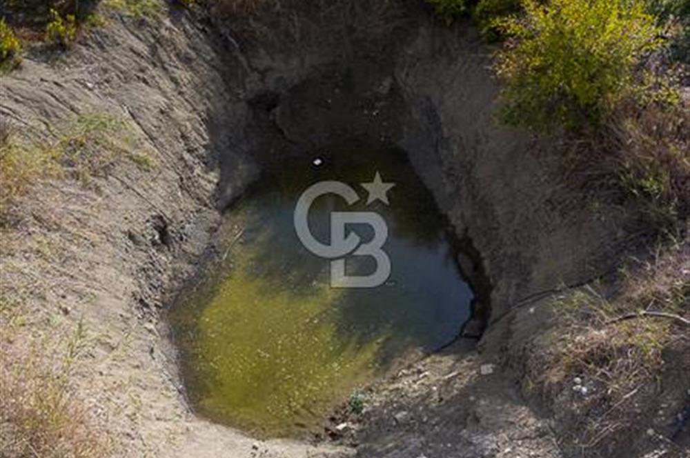 CB ARDENDEN ANTALYA KAŞ ORTABAĞDA 19.188 M2 SATILIK TARLA