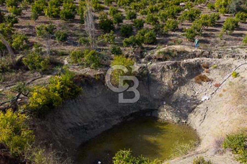 CB ARDENDEN ANTALYA KAŞ ORTABAĞDA 19.188 M2 SATILIK TARLA