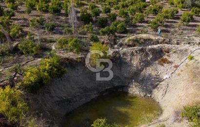 CB ARDENDEN ANTALYA KAŞ ORTABAĞDA 19.188 M2 SATILIK TARLA