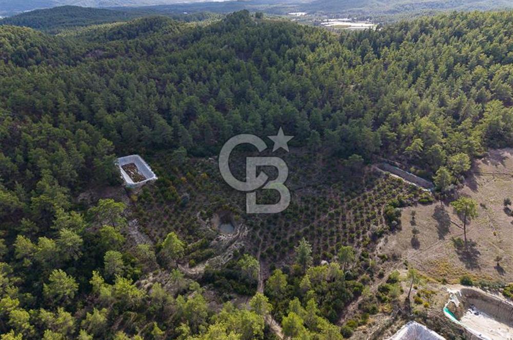 CB ARDENDEN ANTALYA KAŞ ORTABAĞDA 19.188 M2 SATILIK TARLA